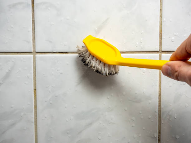 Reliable Shiner, TX Mold Remediation Solutions