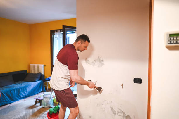 Trusted Shiner, TX Mold Remediation Experts